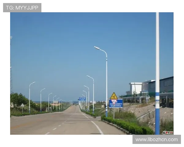 如何安全稳定地进行半岛体育官网登录，保护个人信息和账号安全的实用技巧